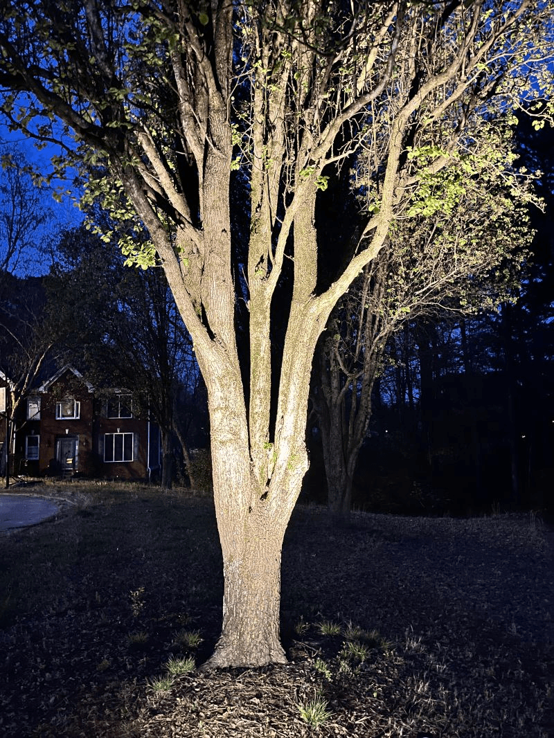 Lighting Design Pitfall: Why Photos (and Renderings) Don’t Tell the Full Story